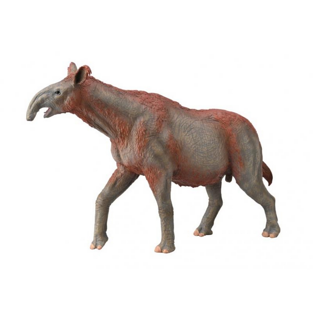 Paraceratherium