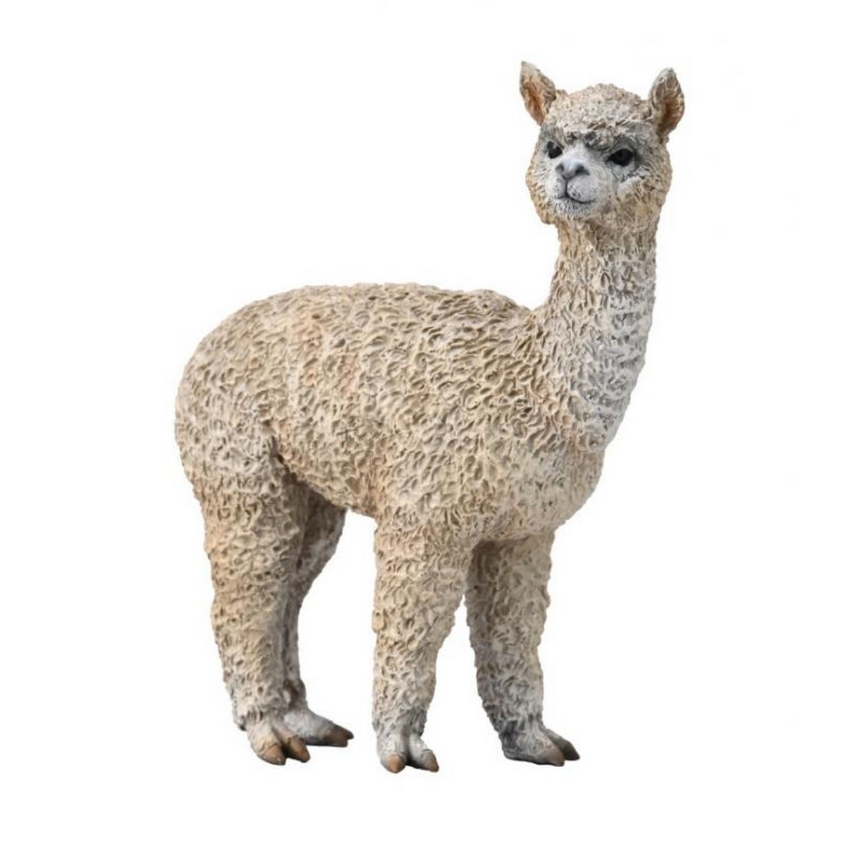 Alpaca