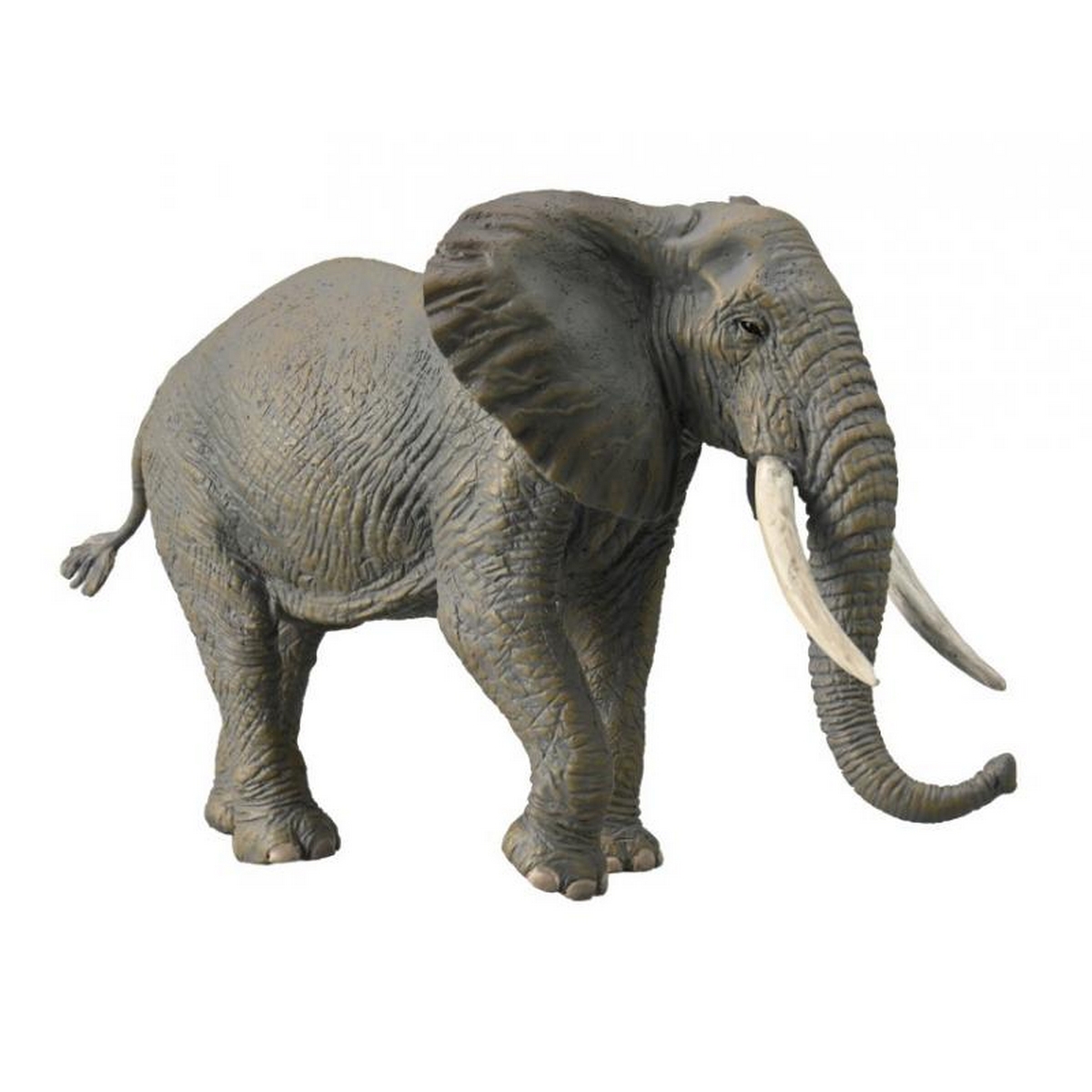 Elefante Africano