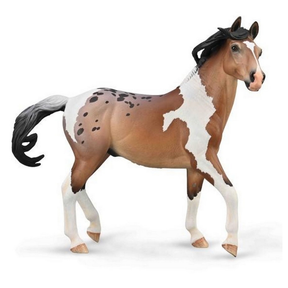 Stallone Mustang Bay Pintoloosa