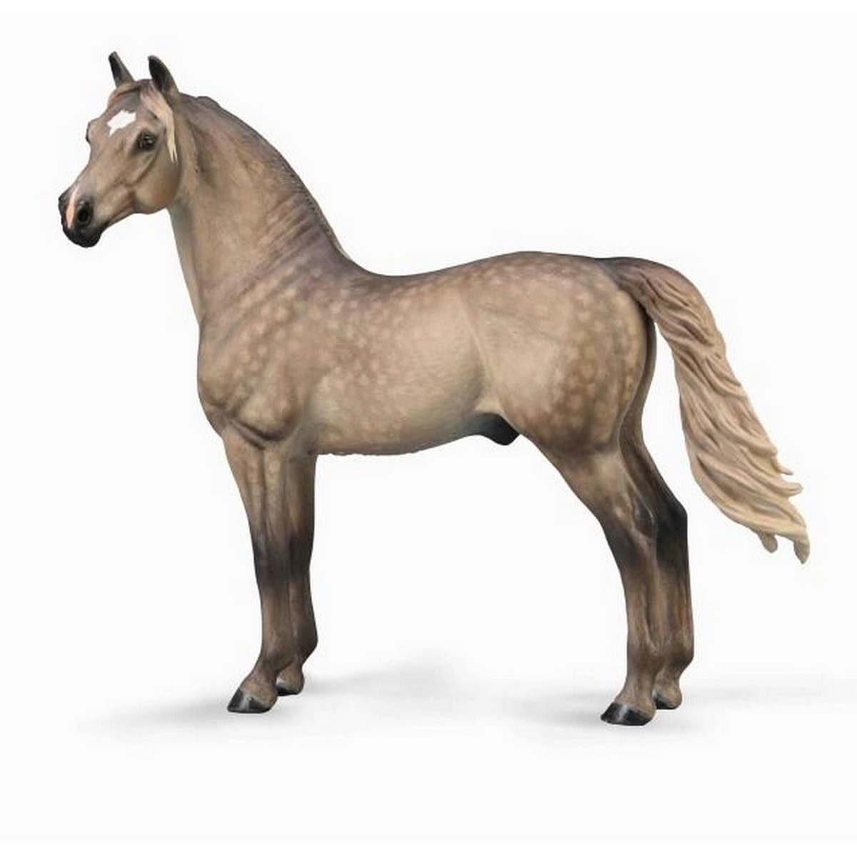 Stallone Morgan - Silver Grulla