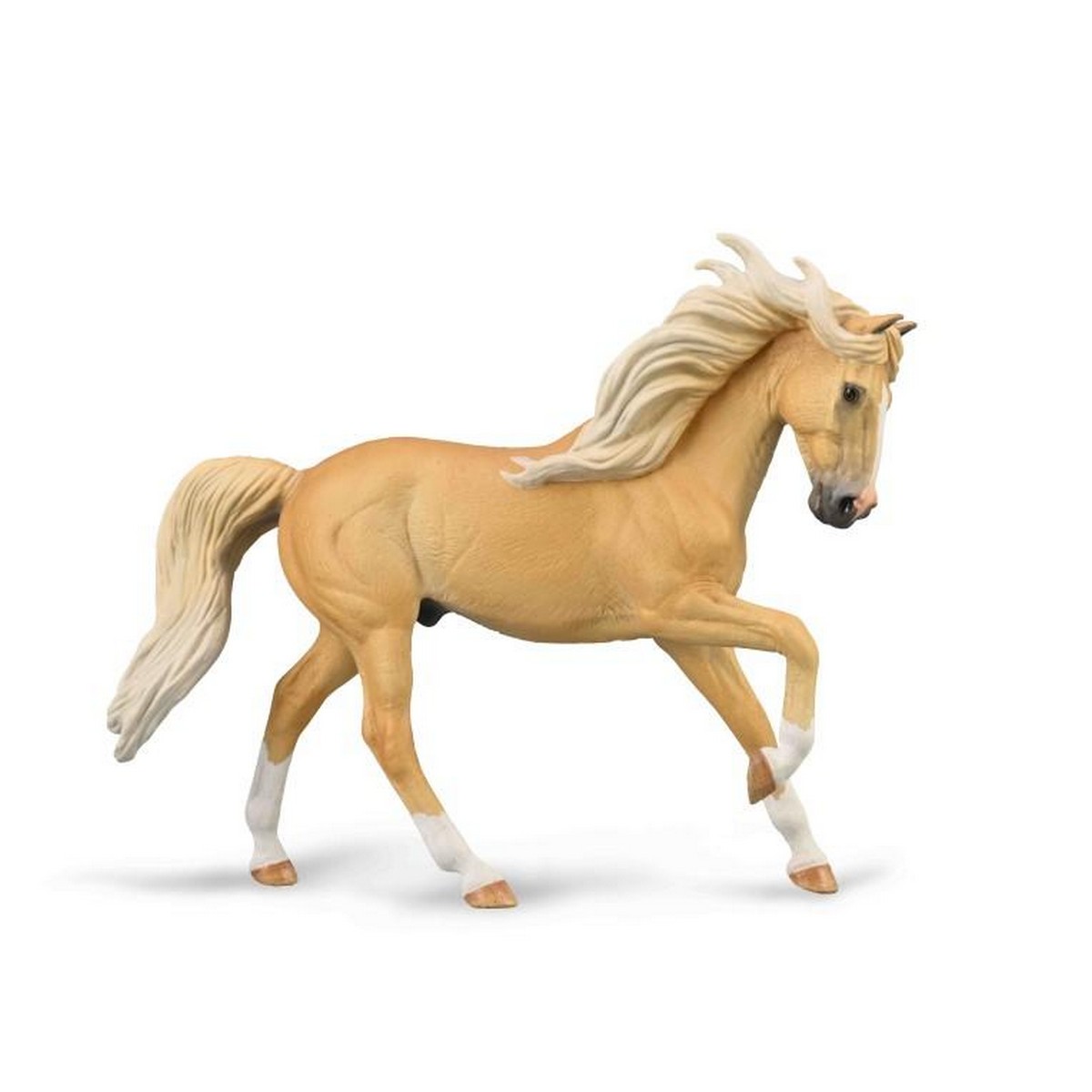 Stallone Andalusian Palomino