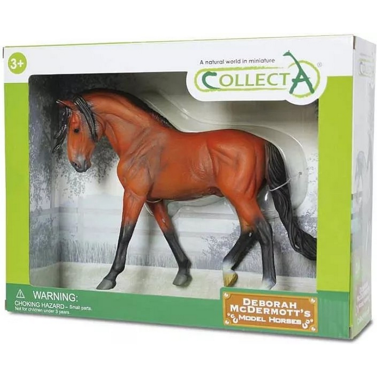 Stallone Andaluso Baio