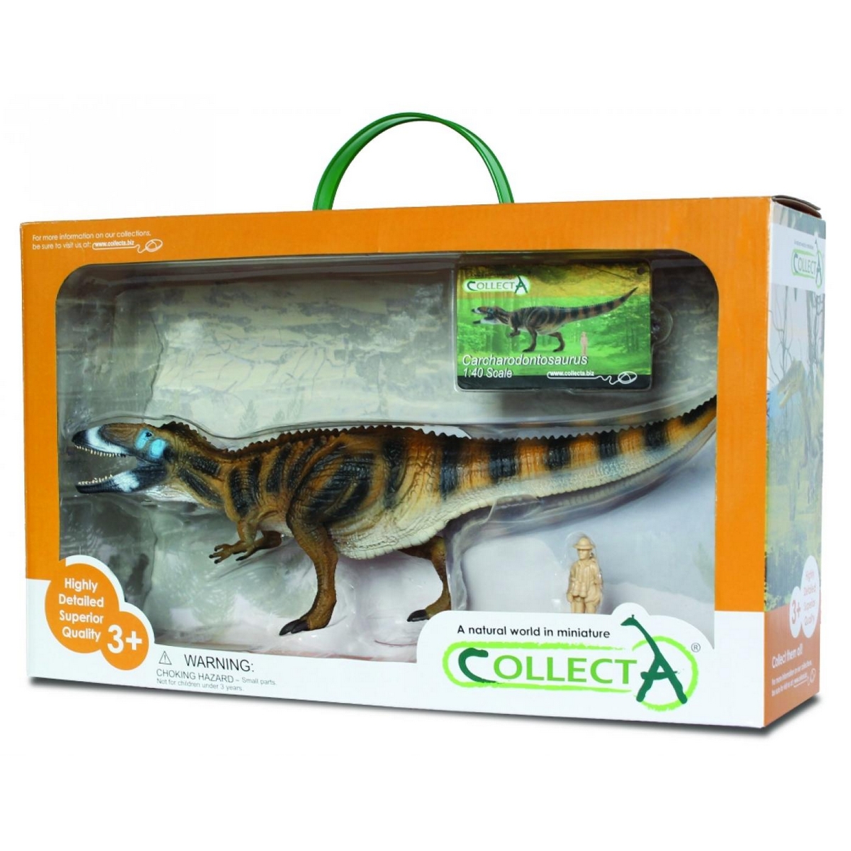 Carcharodontosaurus Deluxe