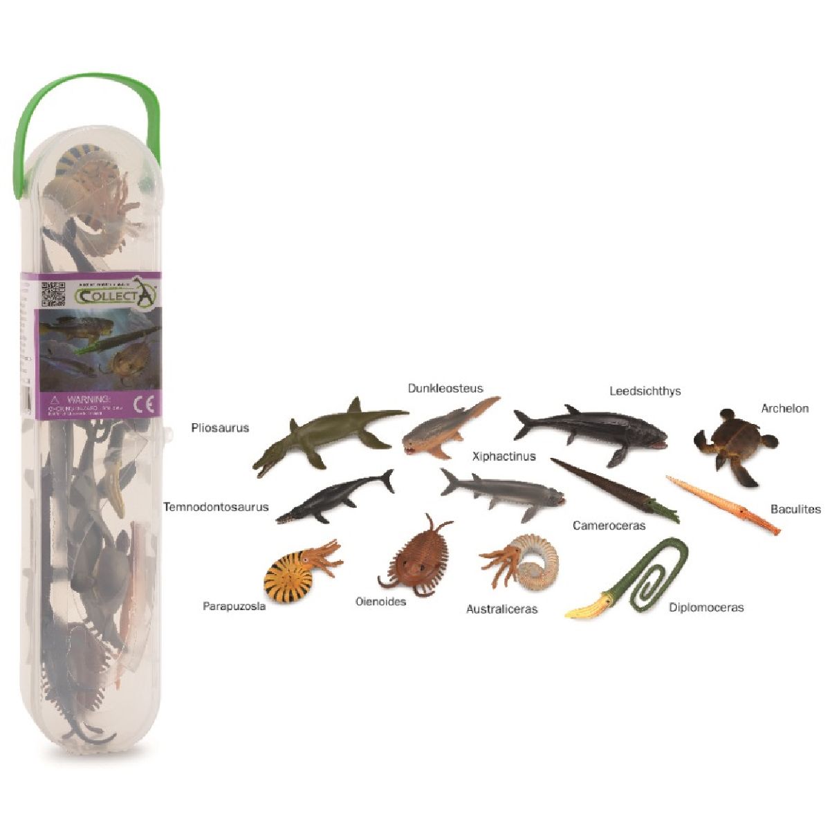 Box Mini Dinosauri Marini