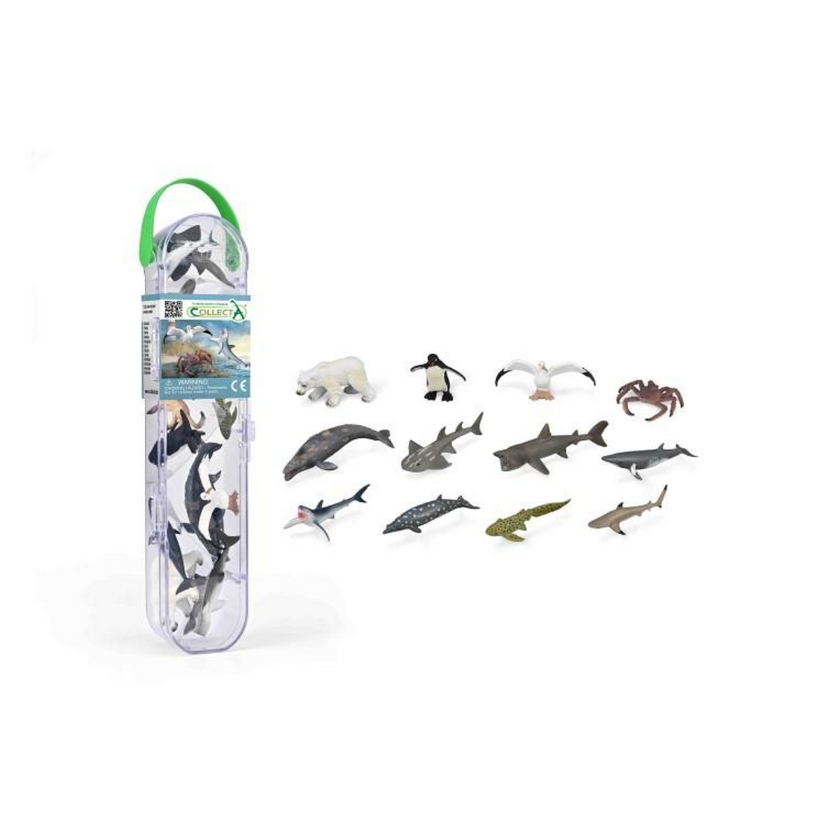 Box Mini Animali Marini - 3