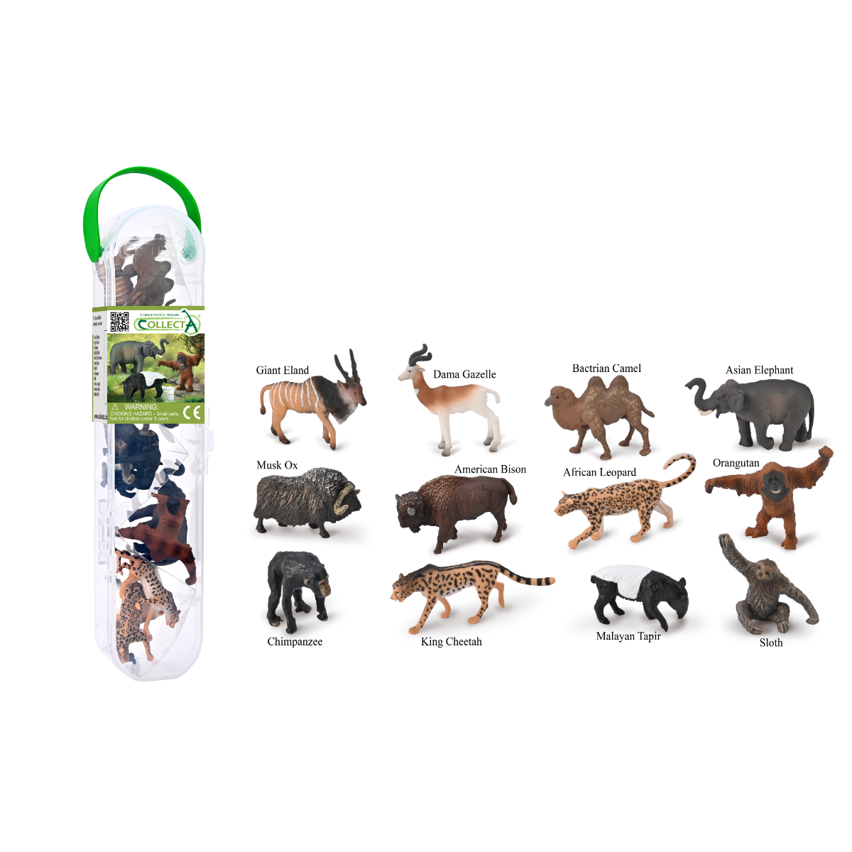 Box Mini Animali Selvatici - 2