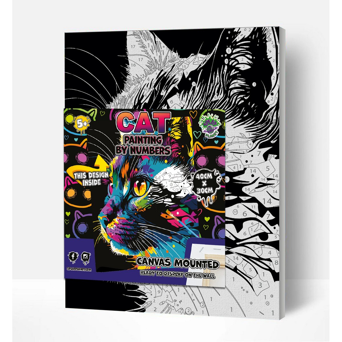 Dipingi con i Numeri - Gatto Luminoso