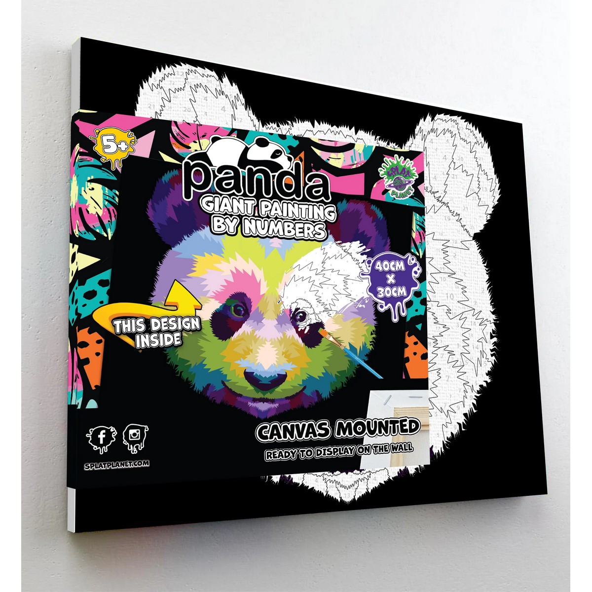 Dipingi con i Numeri - Panda