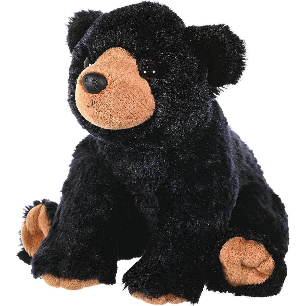 Orso Bruno