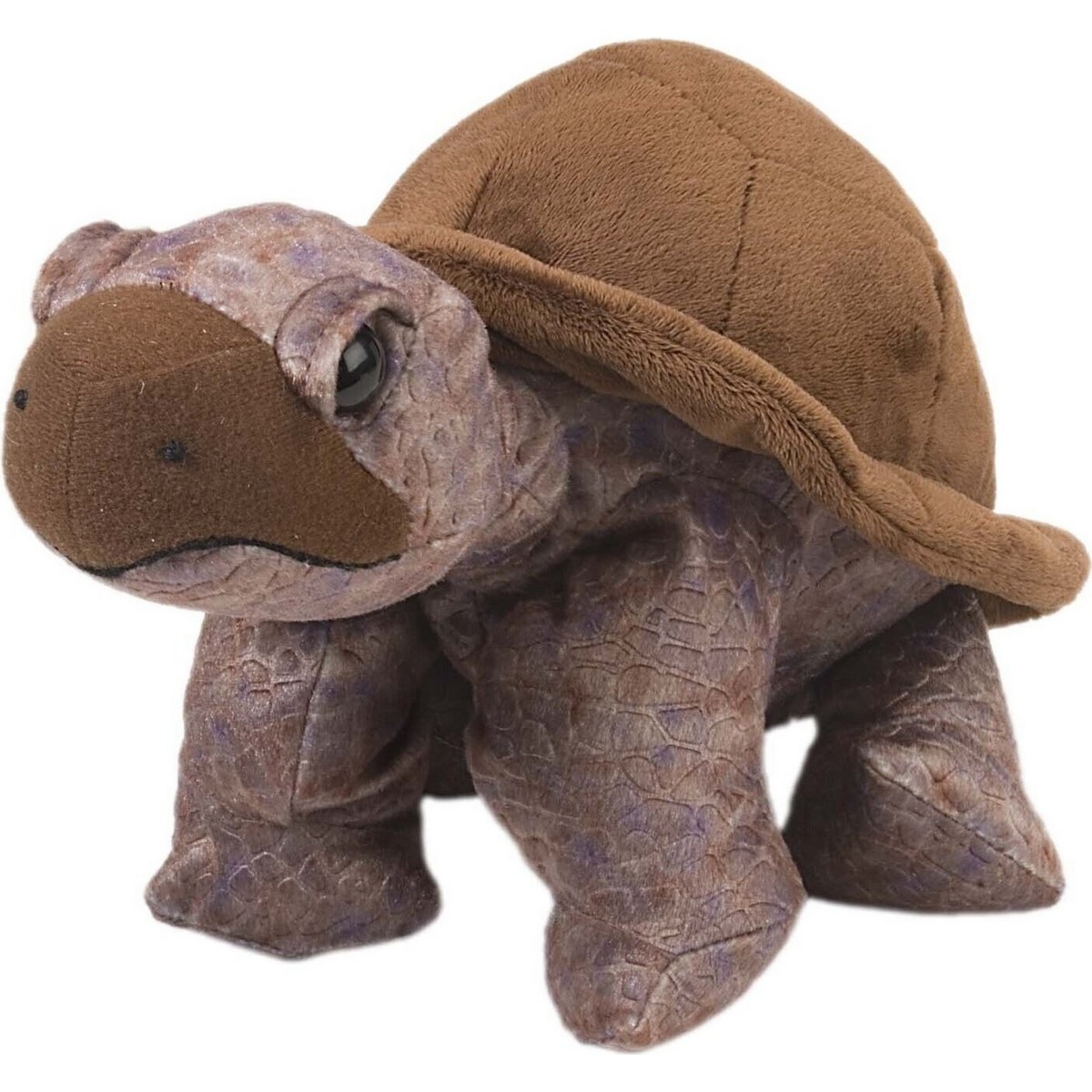 Tartaruga