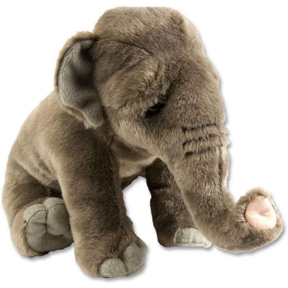 Elefante Asiatico