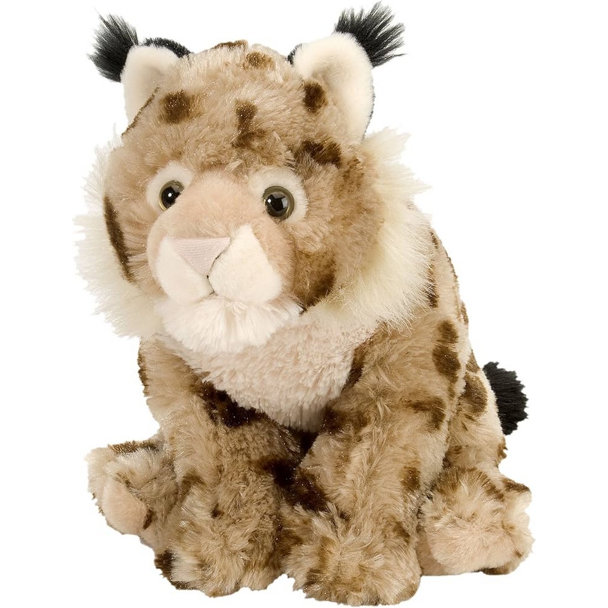 Lince