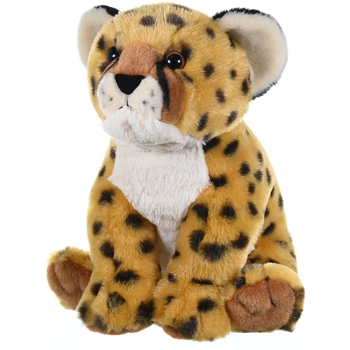 Ghepardo