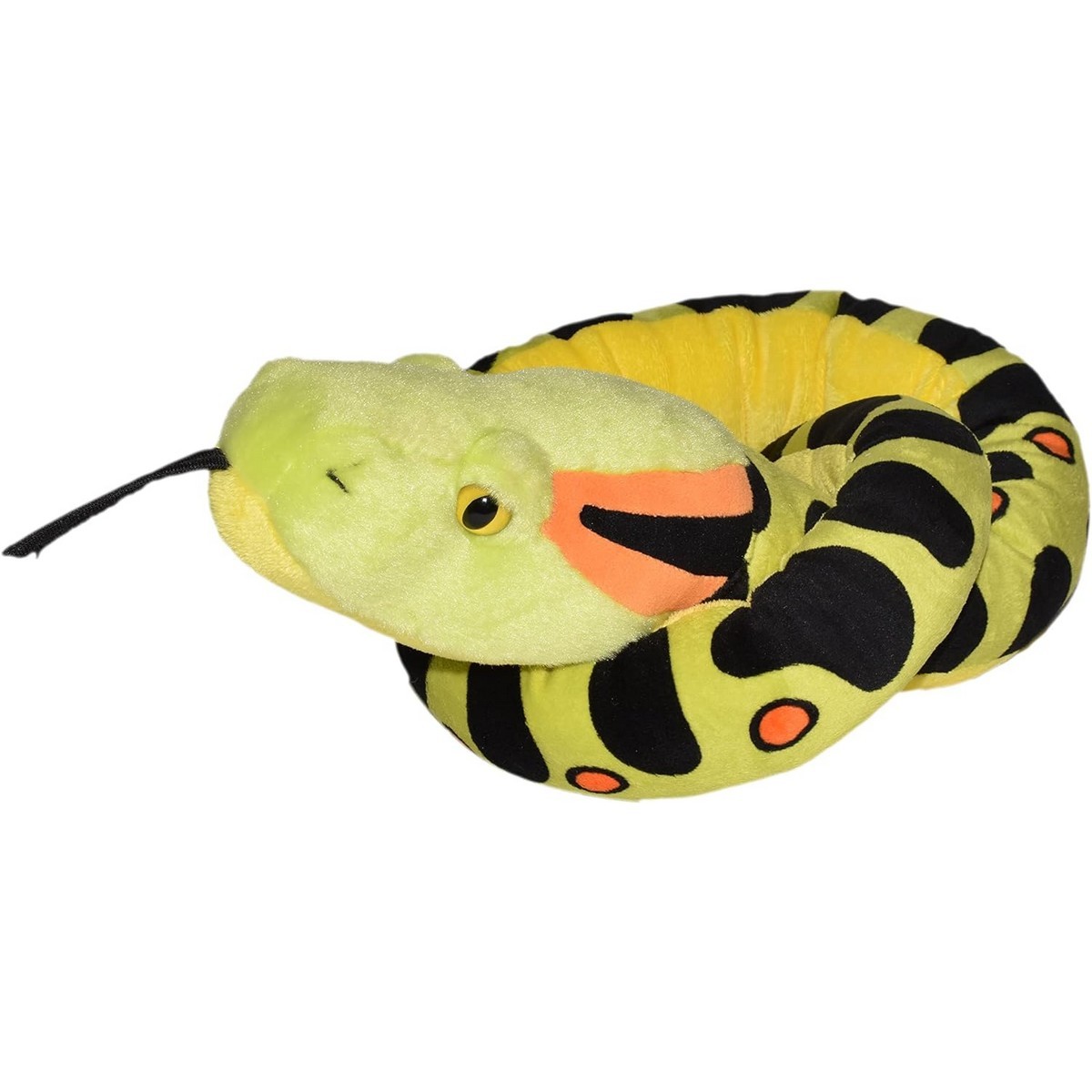 Snakesss - Anaconda