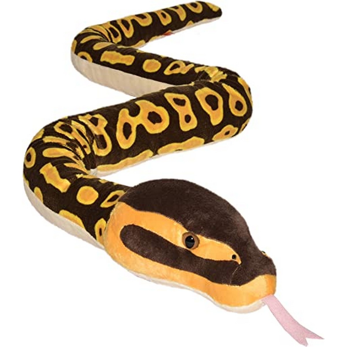 Snakesss - Serpente Pitone Reale