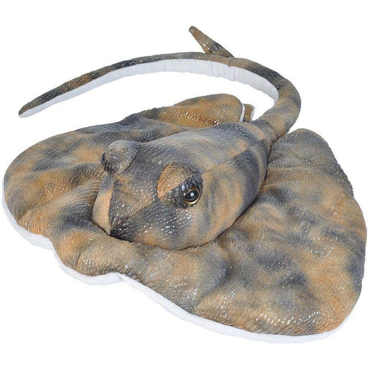 Pastinaca Americana
