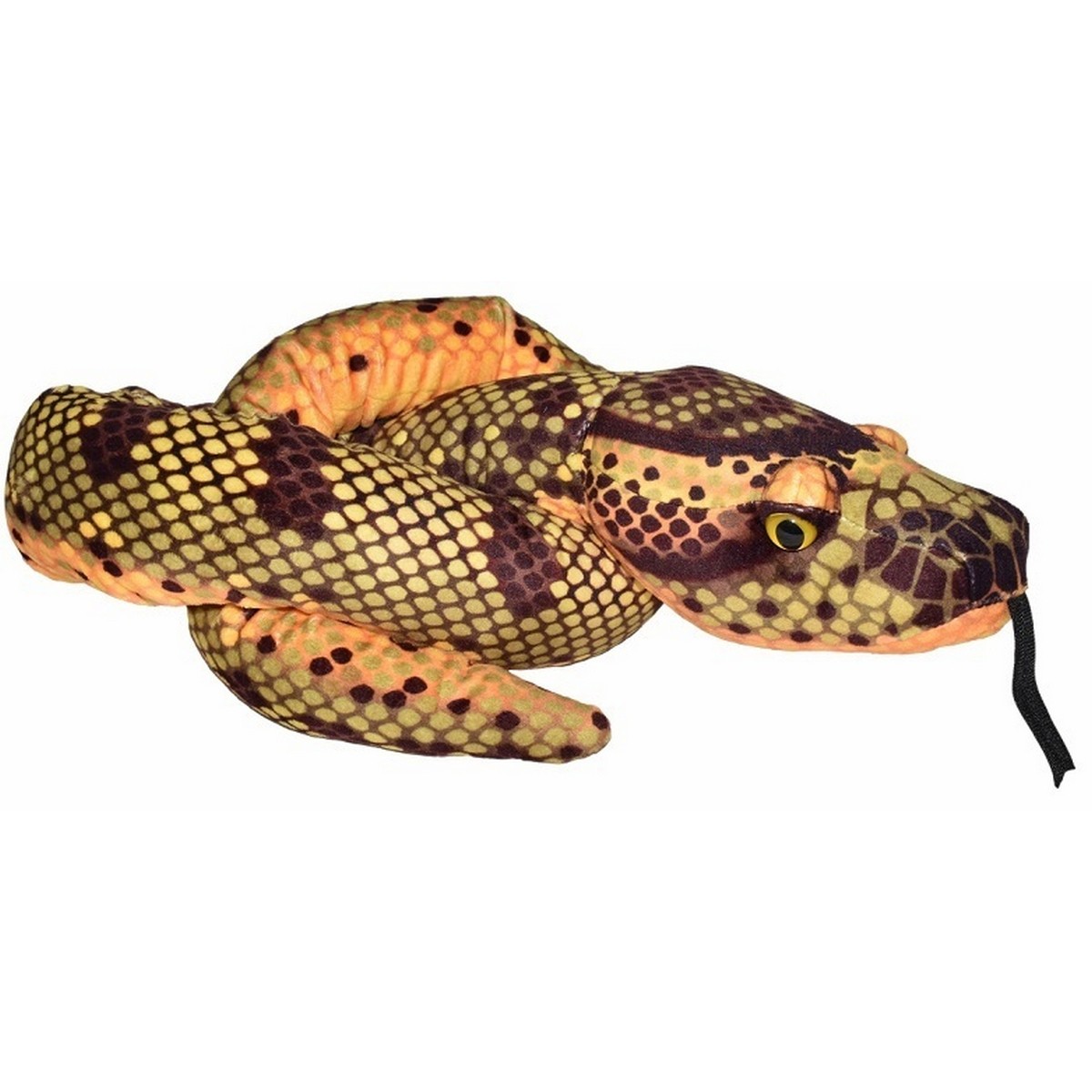 Snakesss - Anaconda
