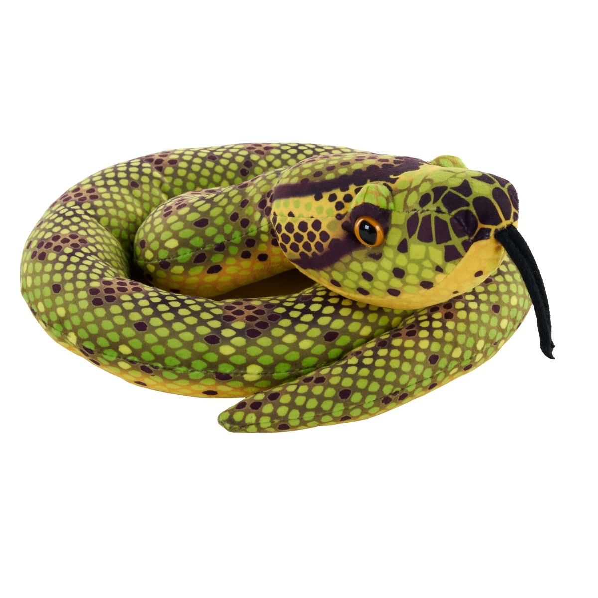Snake Green Coiled - Anaconda