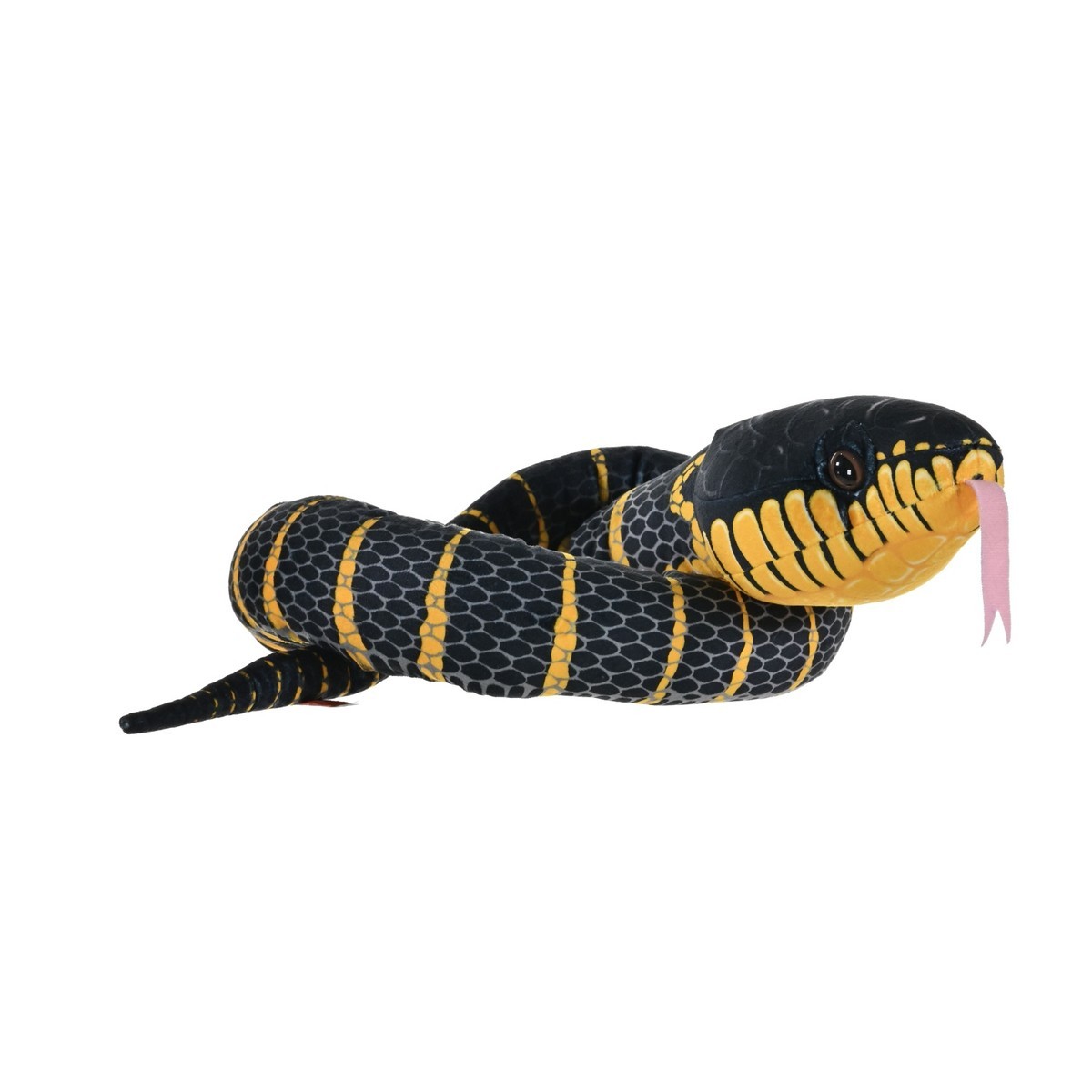 Rainforest Snakes - Serpente delle Mangrovie