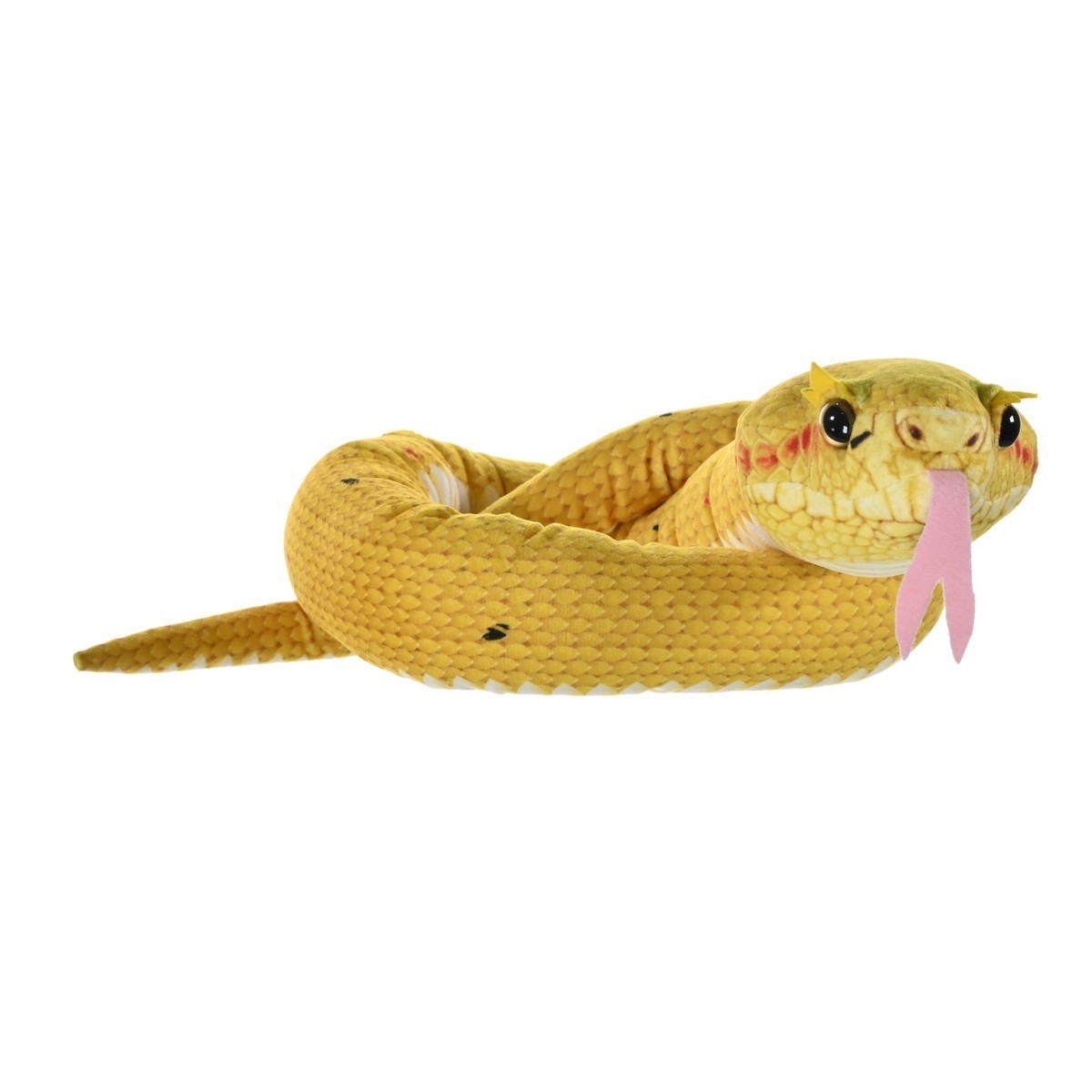 Rainforest Snakes - Vipera Gialla