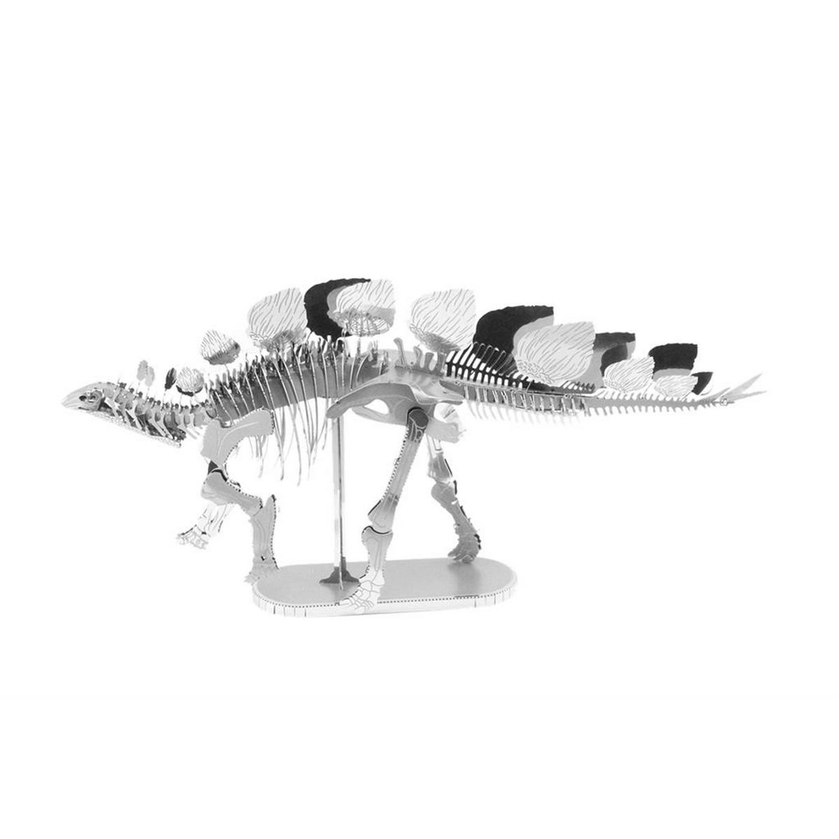 Scheletro Stegosauro