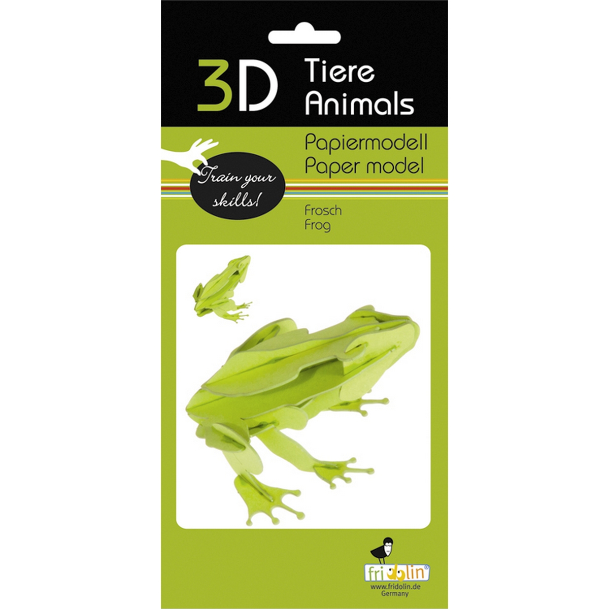 Rana - Modello di carta 3D