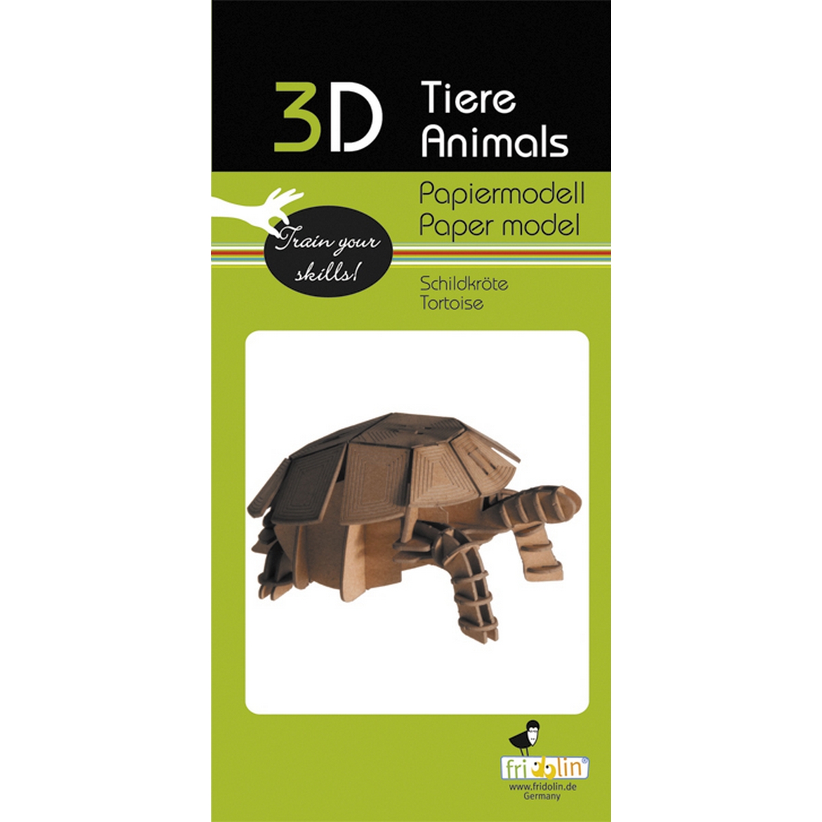 Tartaruga - Modello di carta 3D