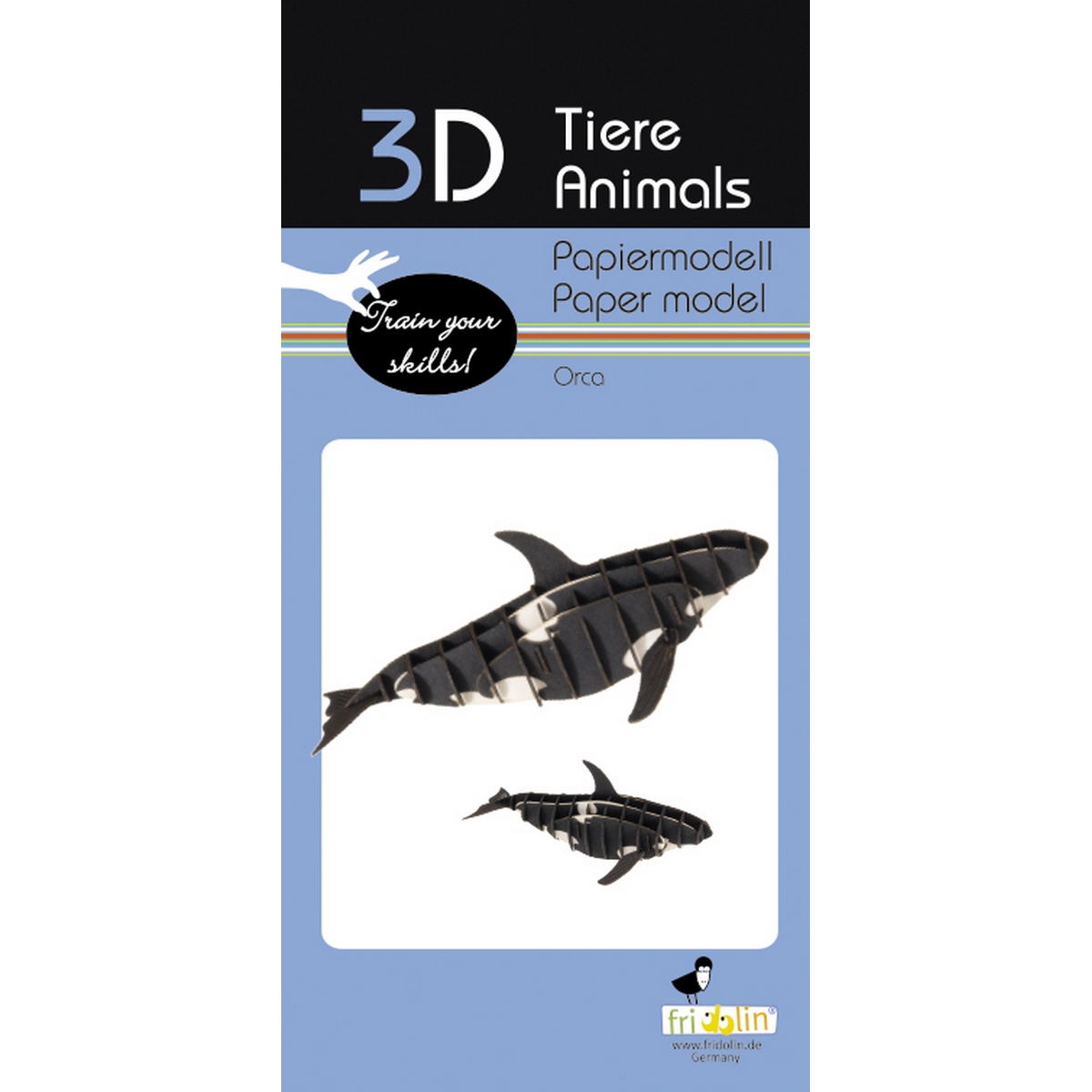 Orca - Modello di carta 3D