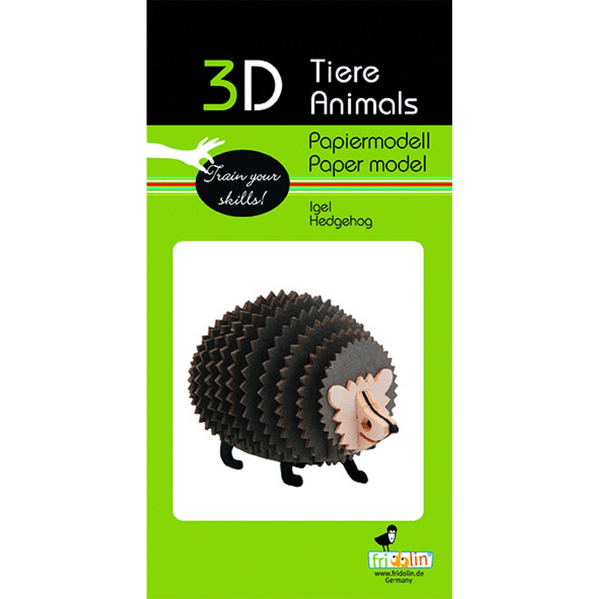 Riccio- Modello di carta 3D