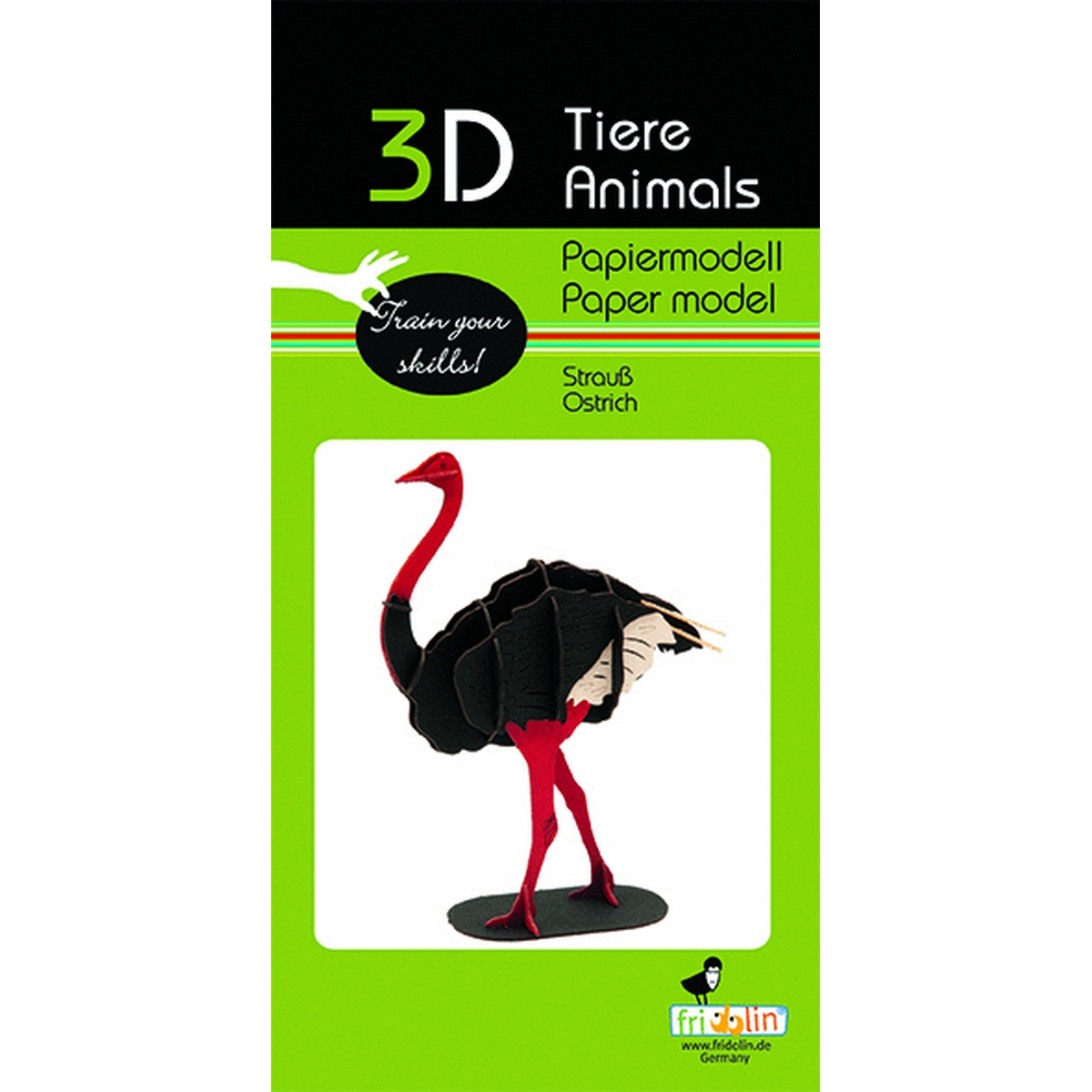 Struzzo - Modello di carta 3D