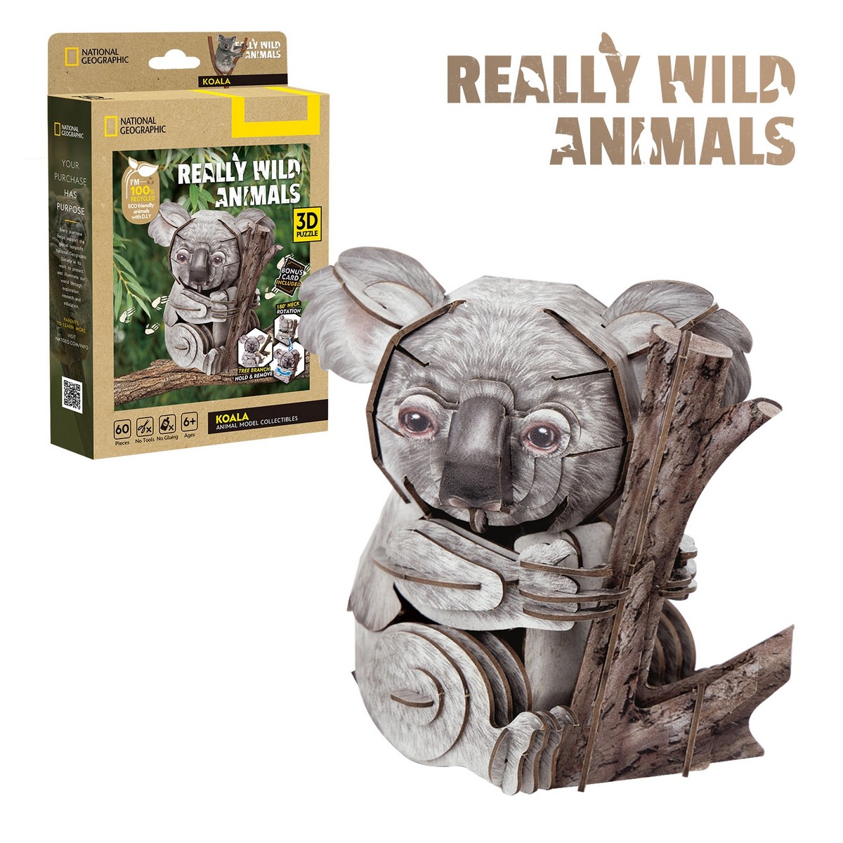 DS1176h.CBF National Geographic Wild: Koala